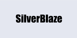 SilverBlaze Company Logo